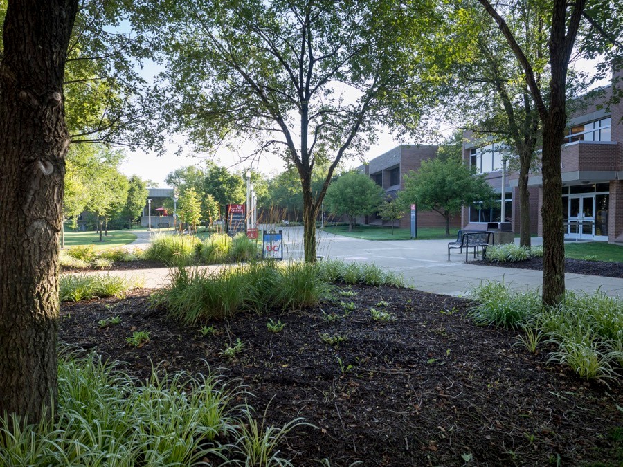 campus in summer