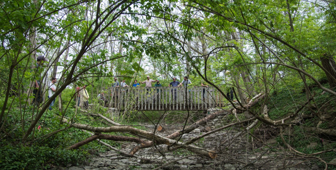 Volunteers stand on a bridge overlooking the wooded Cooper Creek.