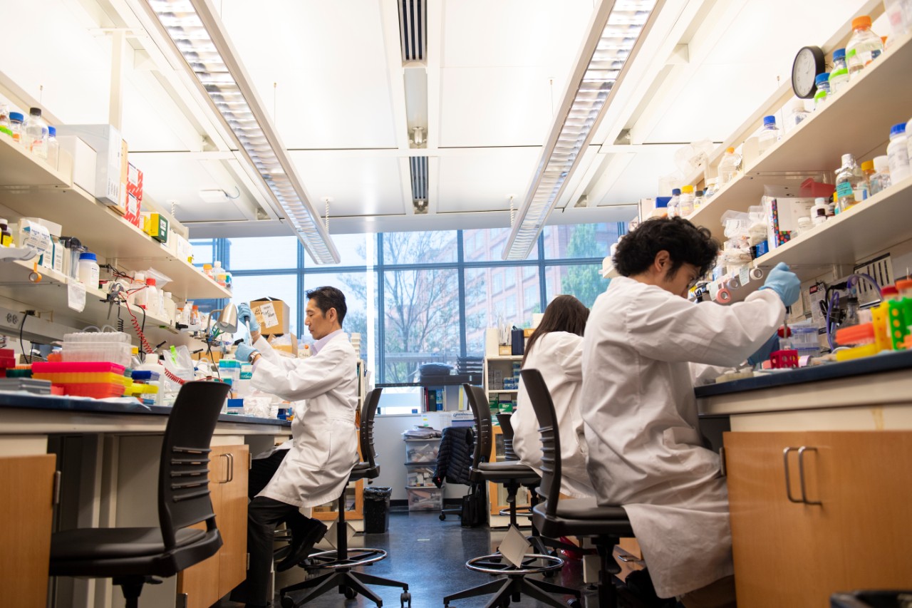 Three people in lab coats sit at benches and conduct research