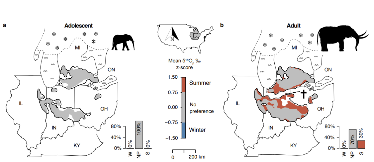 Two maps of the Midwest show the seasonal movements of a mastodon across Ohio, Indiana and Illinois.