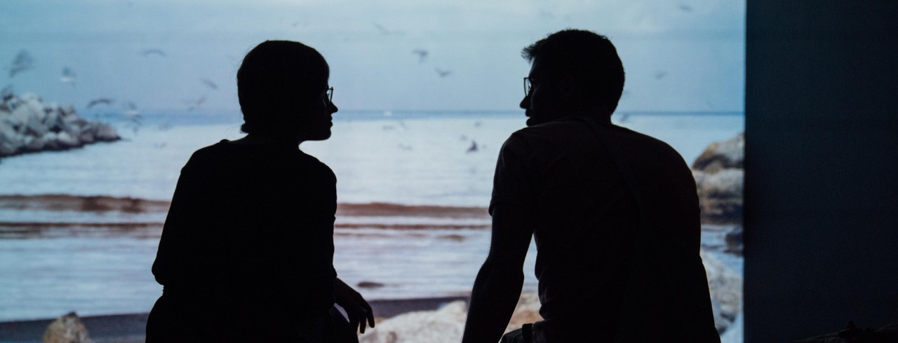 silhouette rear view of couple sitting on the beach 