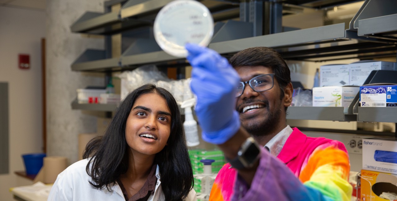 UPRISE Medical Sciences student Afra Rahman looks at a culture held up by Karthick Chella-Krishnan in his lab.