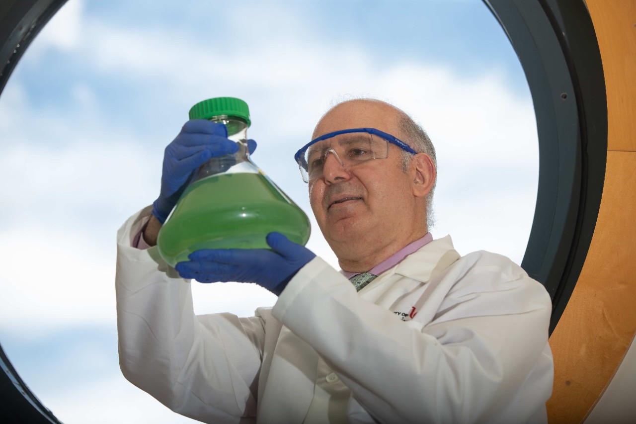 UC professor Dionysios Dionysiou wearing a labcoat, gloves and eye protection holds up a beaker of green algae in front of a window.