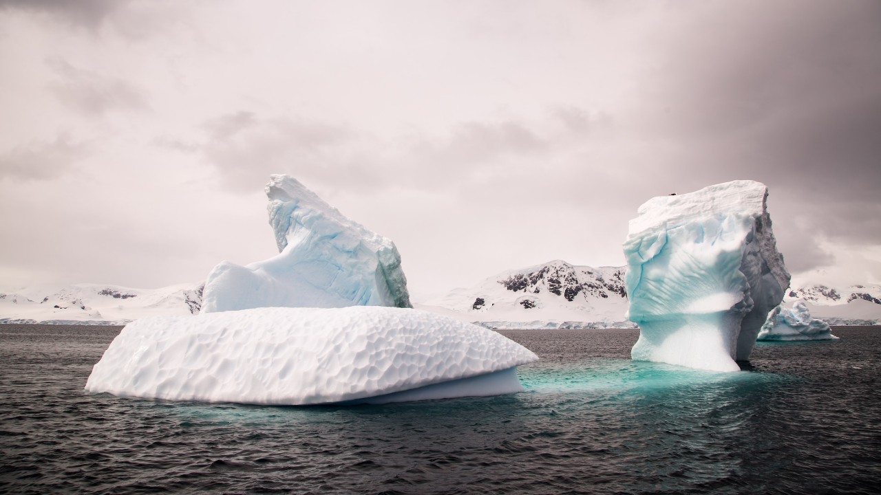 icebergs in Antarctica 