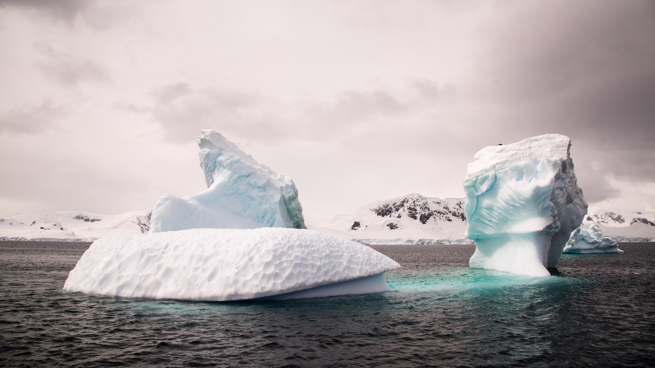 icebergs in Antarctica