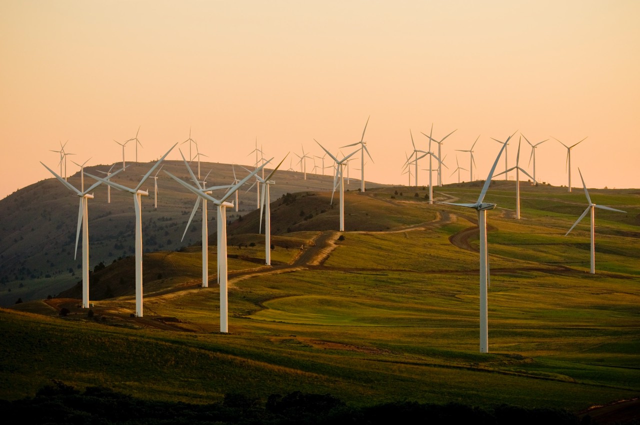 wind turbines on field