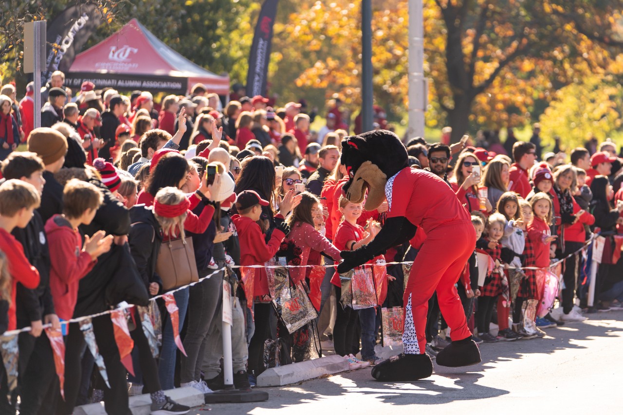 Bearcat greeting people during parade