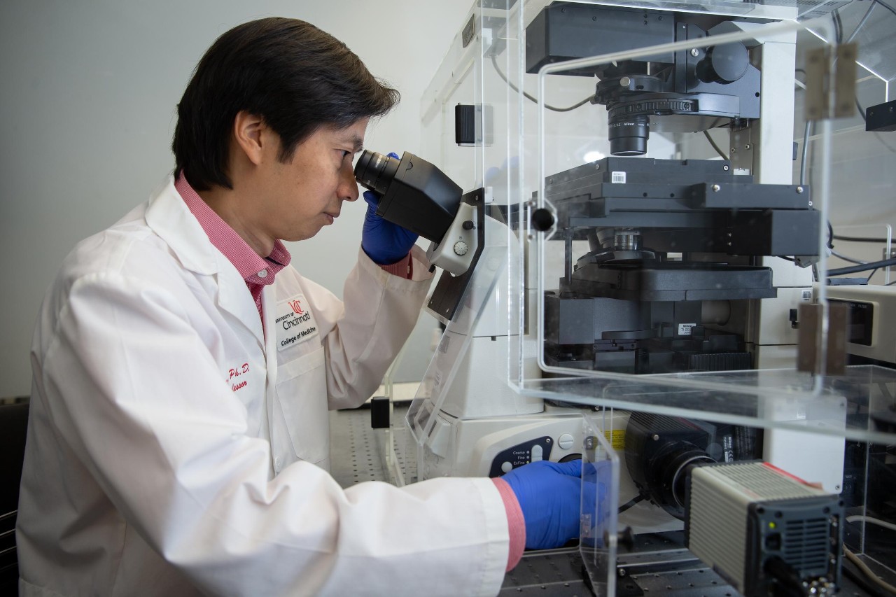 Dr. Xiaoting Zhang, professor and Thomas Boat Endowed Chair in UC's Department of Cancer Biology, director of the Breast Cancer Research Program.