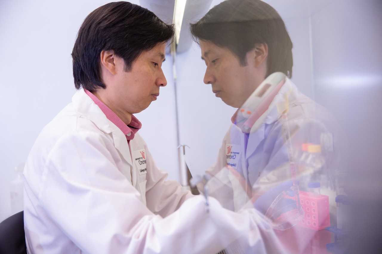 Research, Lab Dr. Xiaoting Zhang, professor and Thomas Boat Endowed Chair in UC's Department of Cancer Biology, director of the Breast Cancer Research Program.