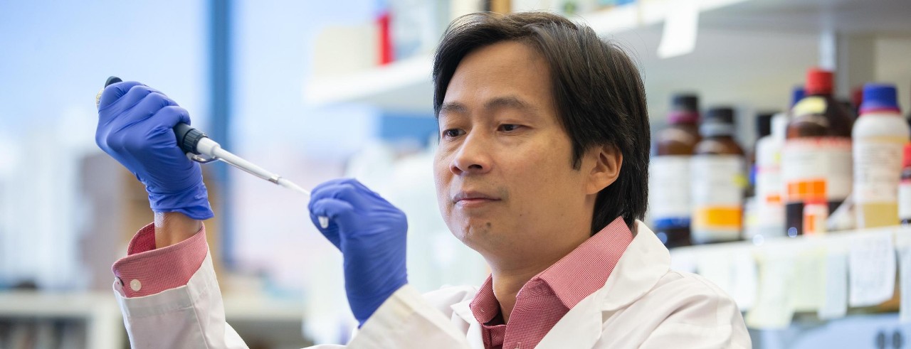 Xiaoting Zhang works in his lab.