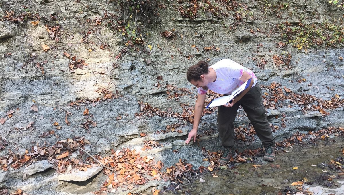 Ian Forsythe examines ancient fossils exposed in an eroding hillside.
