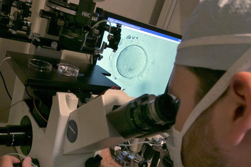 a lab technician examines an embryo with a microscope