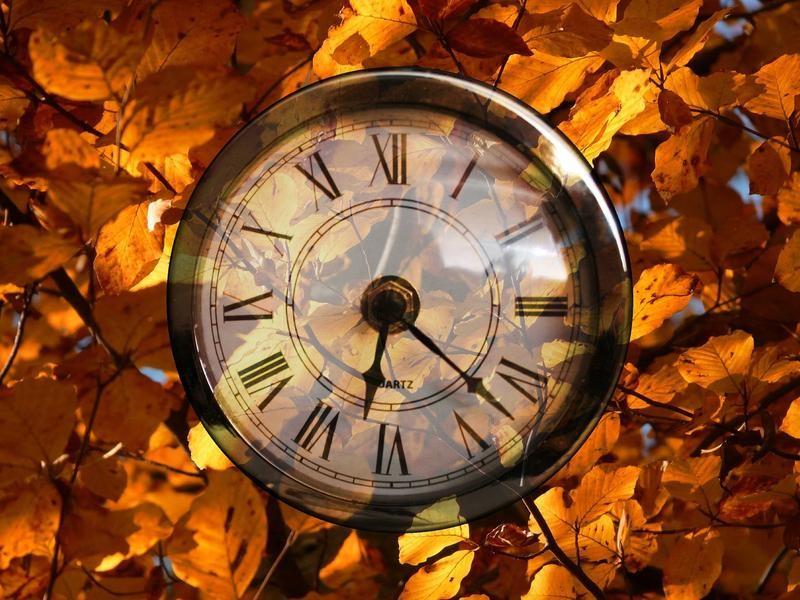a clock with Roman numerals on the face sits on a bed of autumn leaves