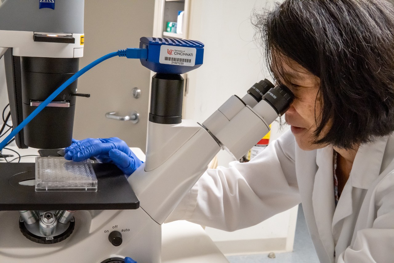 Jill Shirokawa, assistant professor of chemistry, working in the anti-cancer drug discovery lab at UC Clermont. 