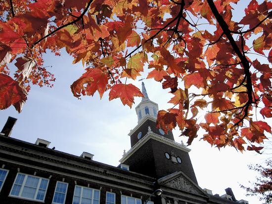 Image of UC's Arts and Sciences Building, surrounded by autumn leaves