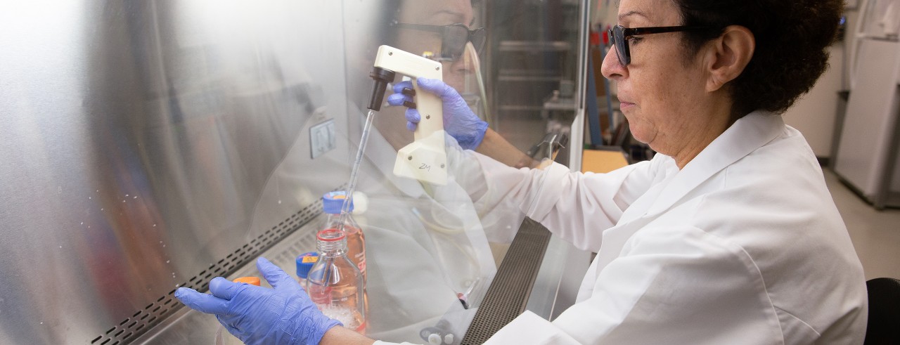 Zalfa A. Abdel-Malek working in the lab