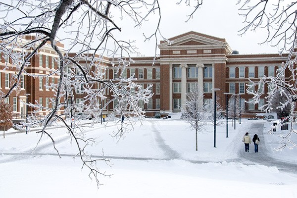 Baldwin after a snow and ice storm 