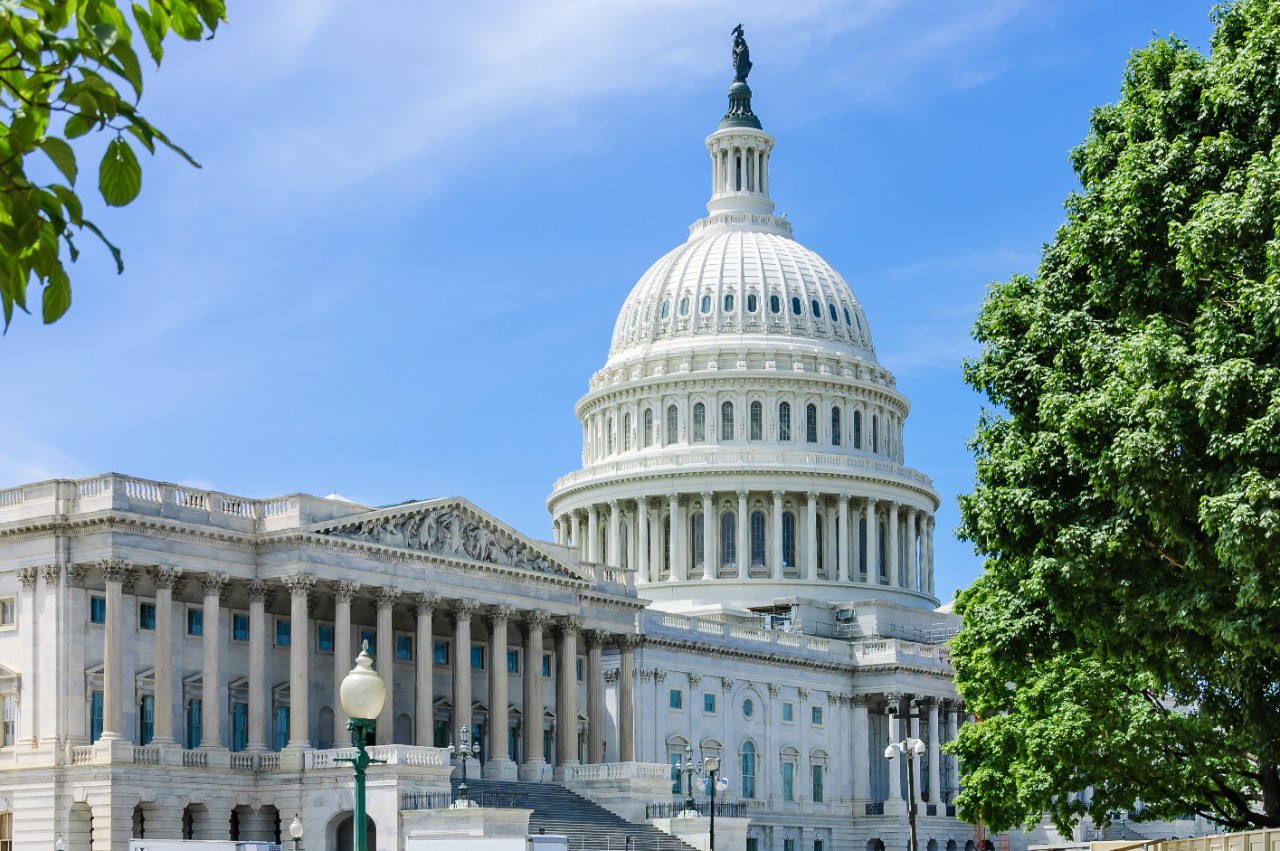 Capitol and house of Representatives, Washington, DC