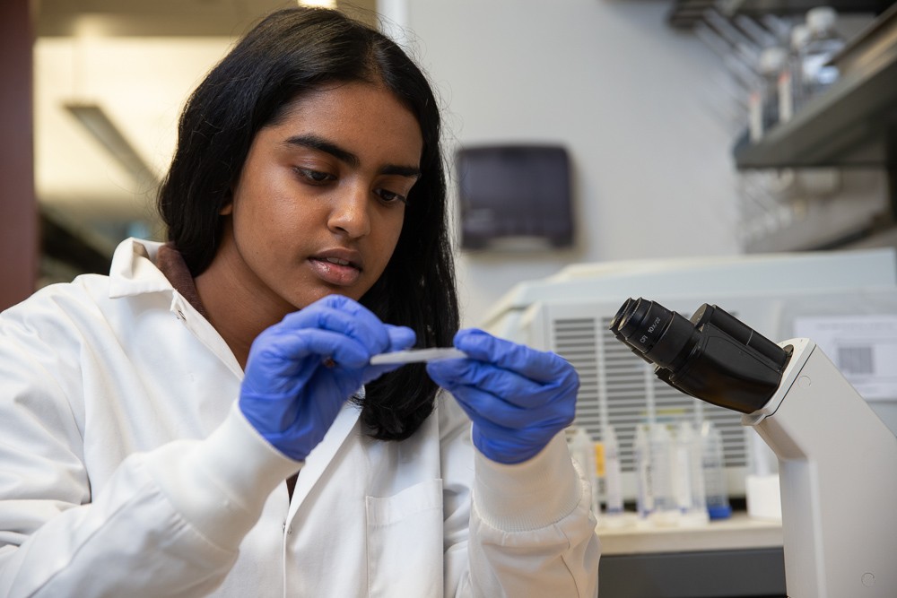 UPRISE Medical Sciences student Afra Rahman works in Dr. Karthick Chella-Krishnan's lab.
