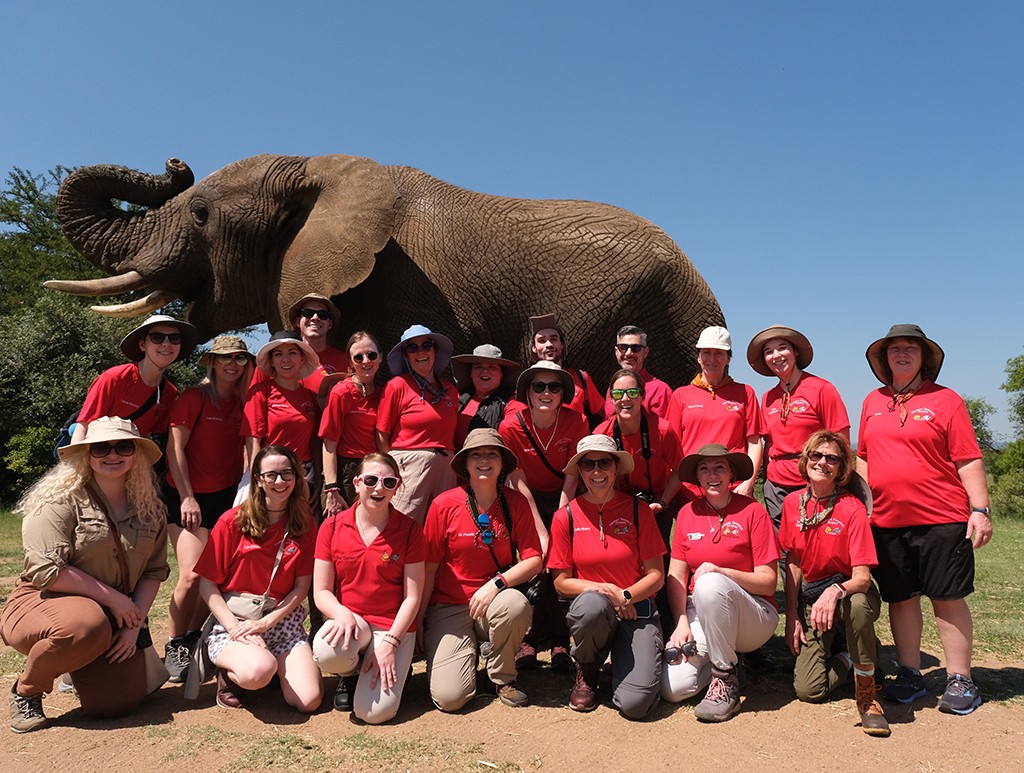 University of Cincinnati audiology students pose with an elephant in Africa 