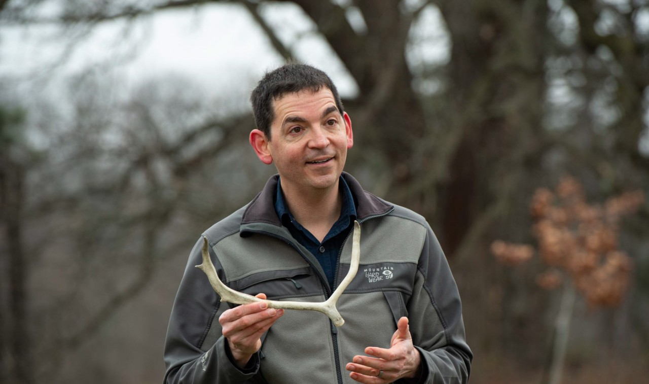 University of Cincinnati assistant professor Joshua Miller holds up a caribou antler outside with a background of trees.