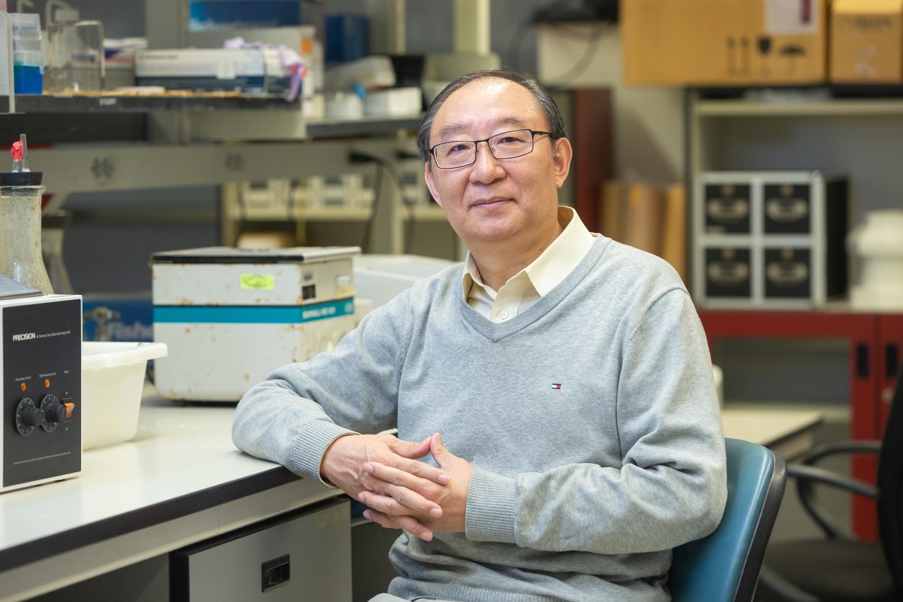 Researchers work in the lab of Dr. Yigang Wang, a professor in the University of Cincinnati College of Medicine, who has developed a technology that regenerates and repairs heart cells.