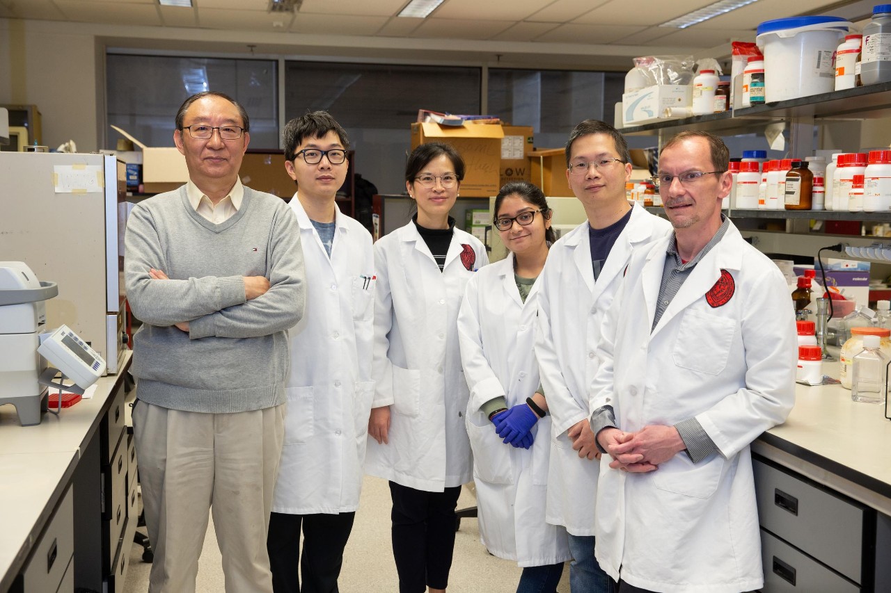 Researchers work in the lab of Dr. Yigang Wang, a professor in the University of Cincinnati College of Medicine, who has developed a technology that regenerates and repairs heart cells.