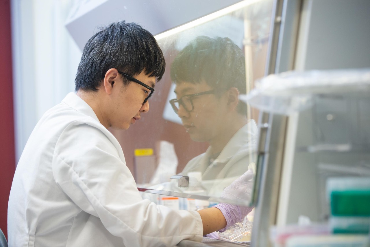 Researchers work in the lab of Dr. Yigang Wang, a professor in the University of Cincinnati College of Medicine, who has developed a technology that regenerates and repairs heart cells.