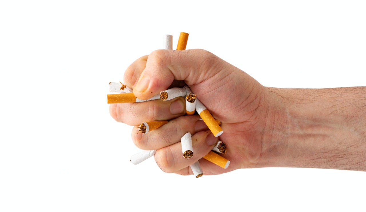 A hand crushes a fist full of cigarettes.
