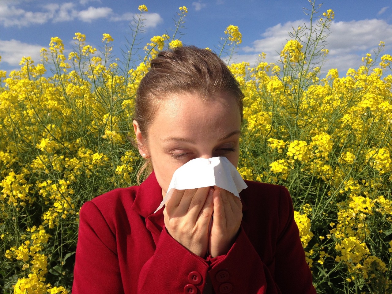 a photo of a woman sneezing into a facial tissue in a field of flowers