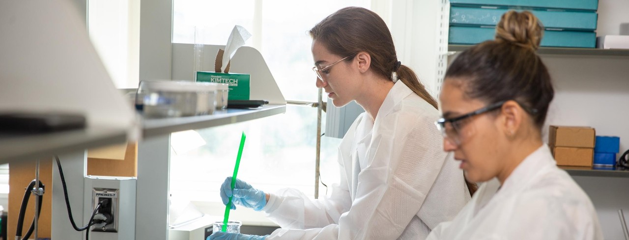 One student stirs a beaker on a hot plate and another looks at a laptop in a laboratory