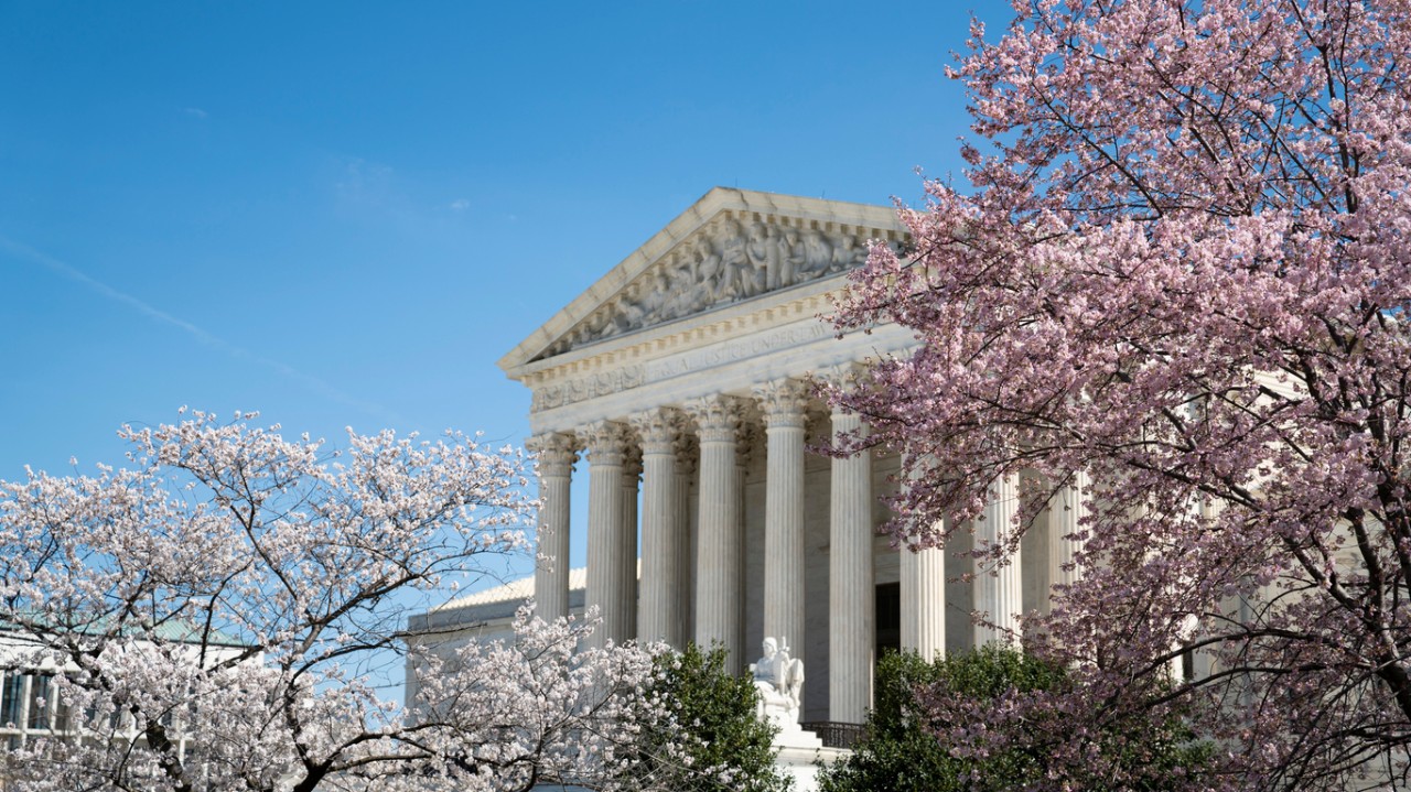 Supreme Court of the United States front entrance, surrounded by flowering trees