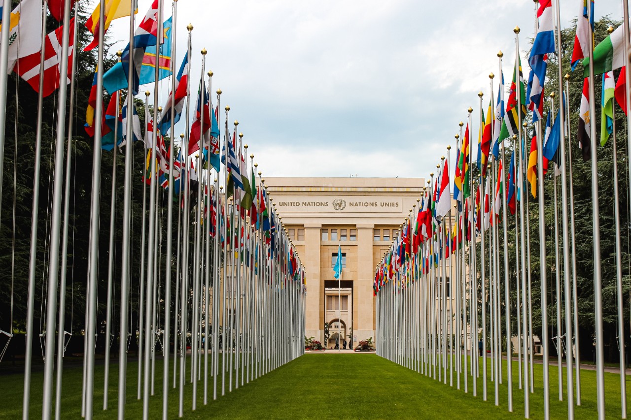 Image of international flags.