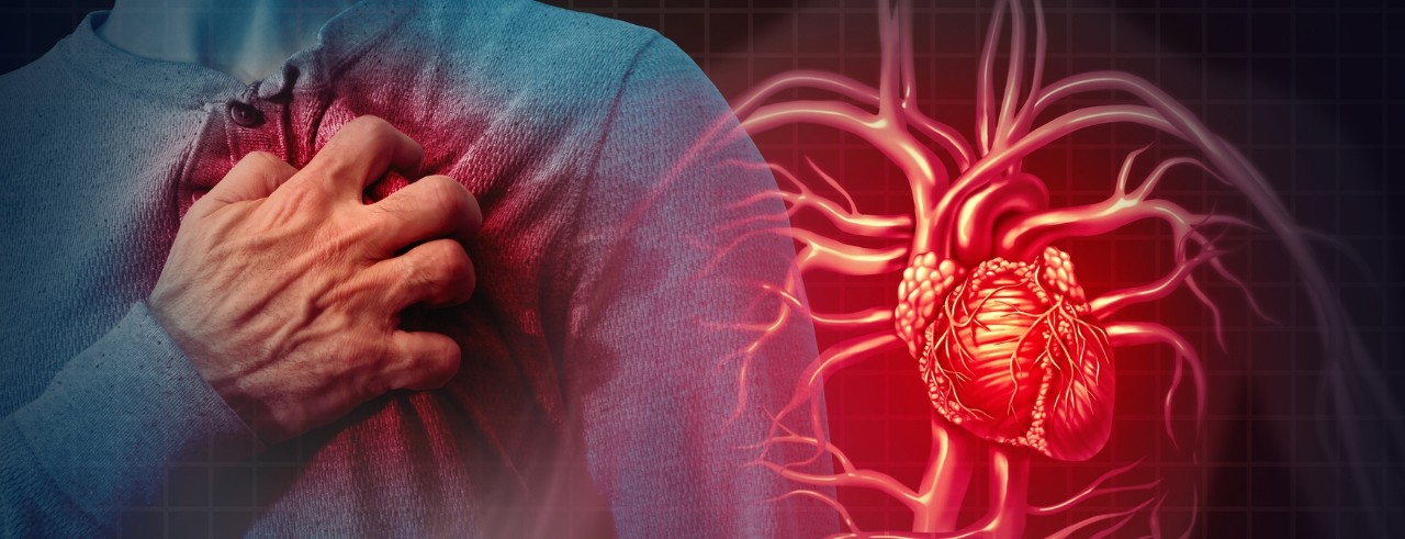 A person clenches at their chest next to an illustration of the heart and blood vessels