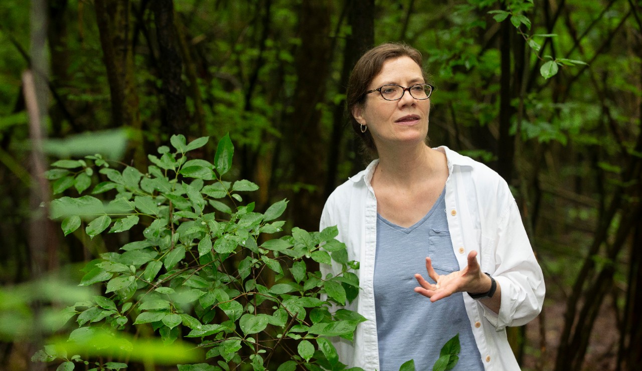 Theresa Culley, UC biology professor shown here with invasive Bradford or Callery pear trees at Harris benedict Nature Preserve in Hazelwood, Ohio.  UC/Joseph Fuqua II