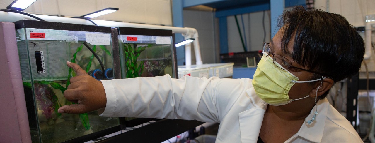 Latonya Jackson in a face mask and lab coat points to a killifish in an aquarium.