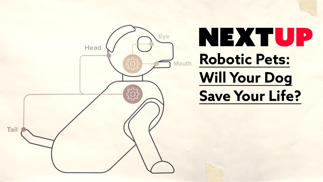 Next Up video series: Robotic Pets. A blueprint of an innovative robotic pet design.