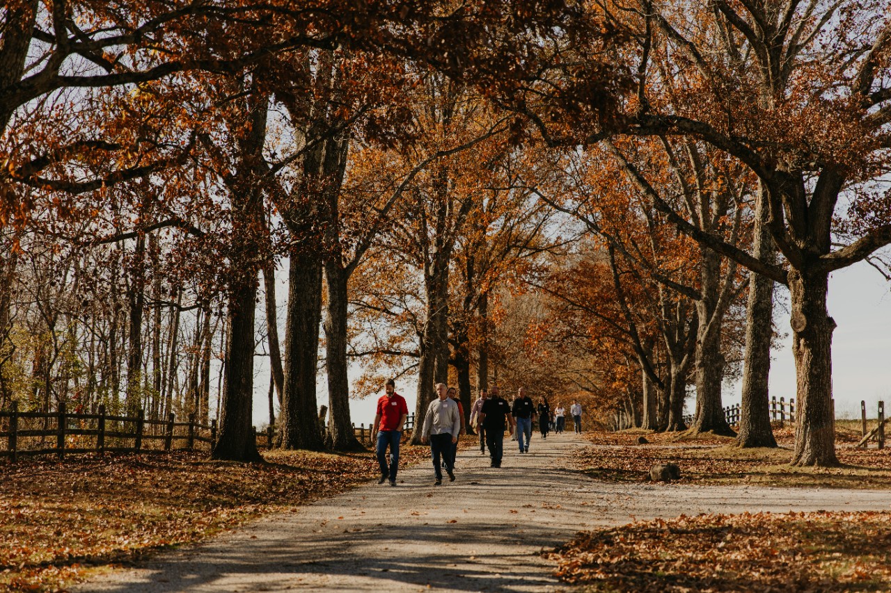 participants perform mindful walking