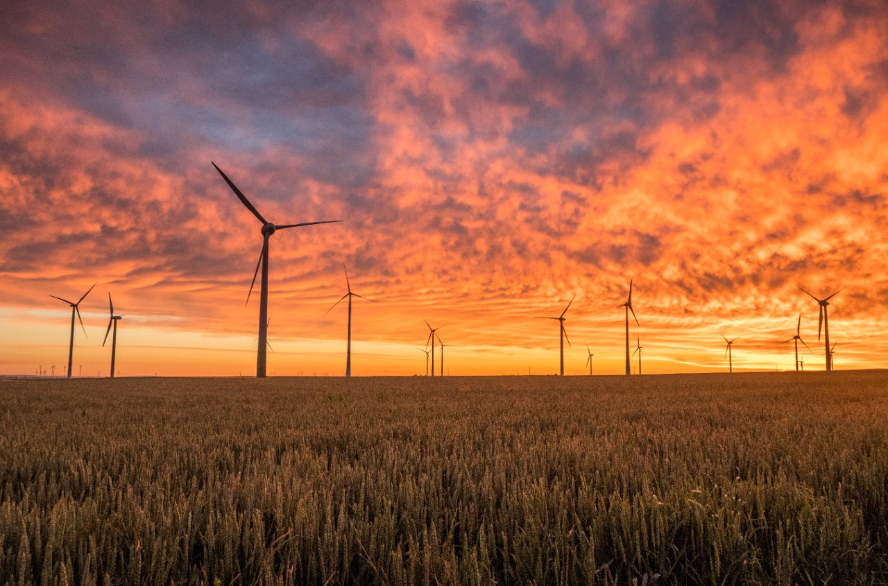 Wind turbines in a field with sunset.