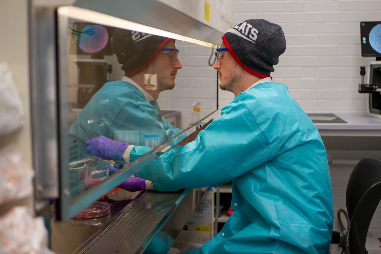 A student in a labcoat and gloves works under a chemical hood.