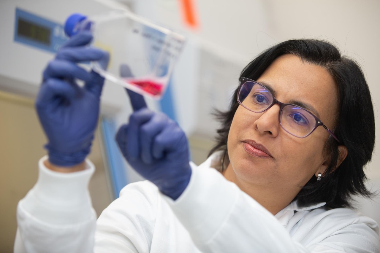 UC Assistant Professor Noelia Lander wearing gloves and a labcoat holds up a sample in her lab.