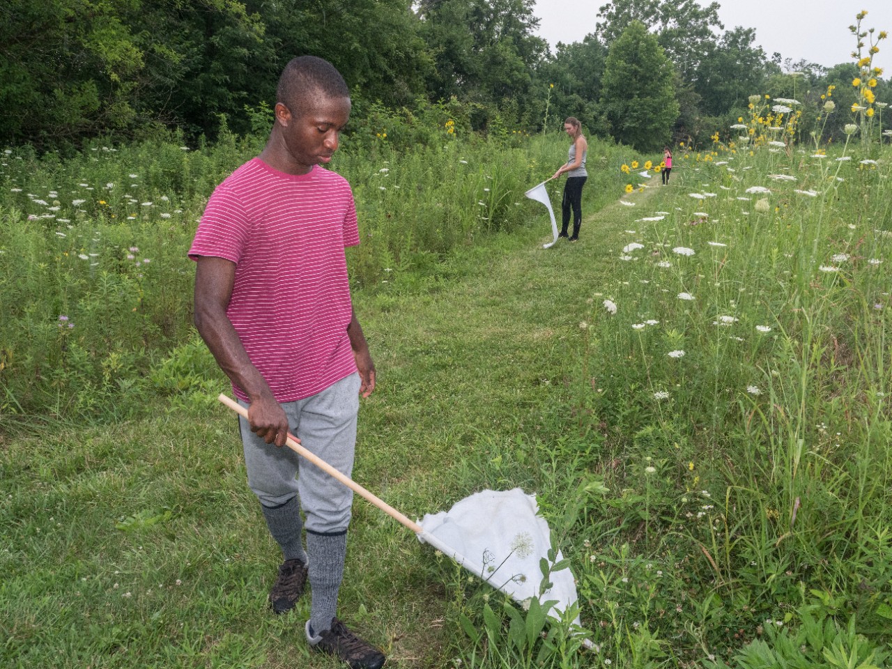 UC assistant biology professor Joshua Benoit is studying tick-borne illness at the UC Center for Field Studies in Crosby Township. TICKS l-r ,Joshua Benoit (blue shirt), Andrew Rosendale (beard), Benjamin Davis (red/pin stripe shirt), Madison Kimbrel (pink tank top), Alicia Fieler (gray shirt UnderArmor)