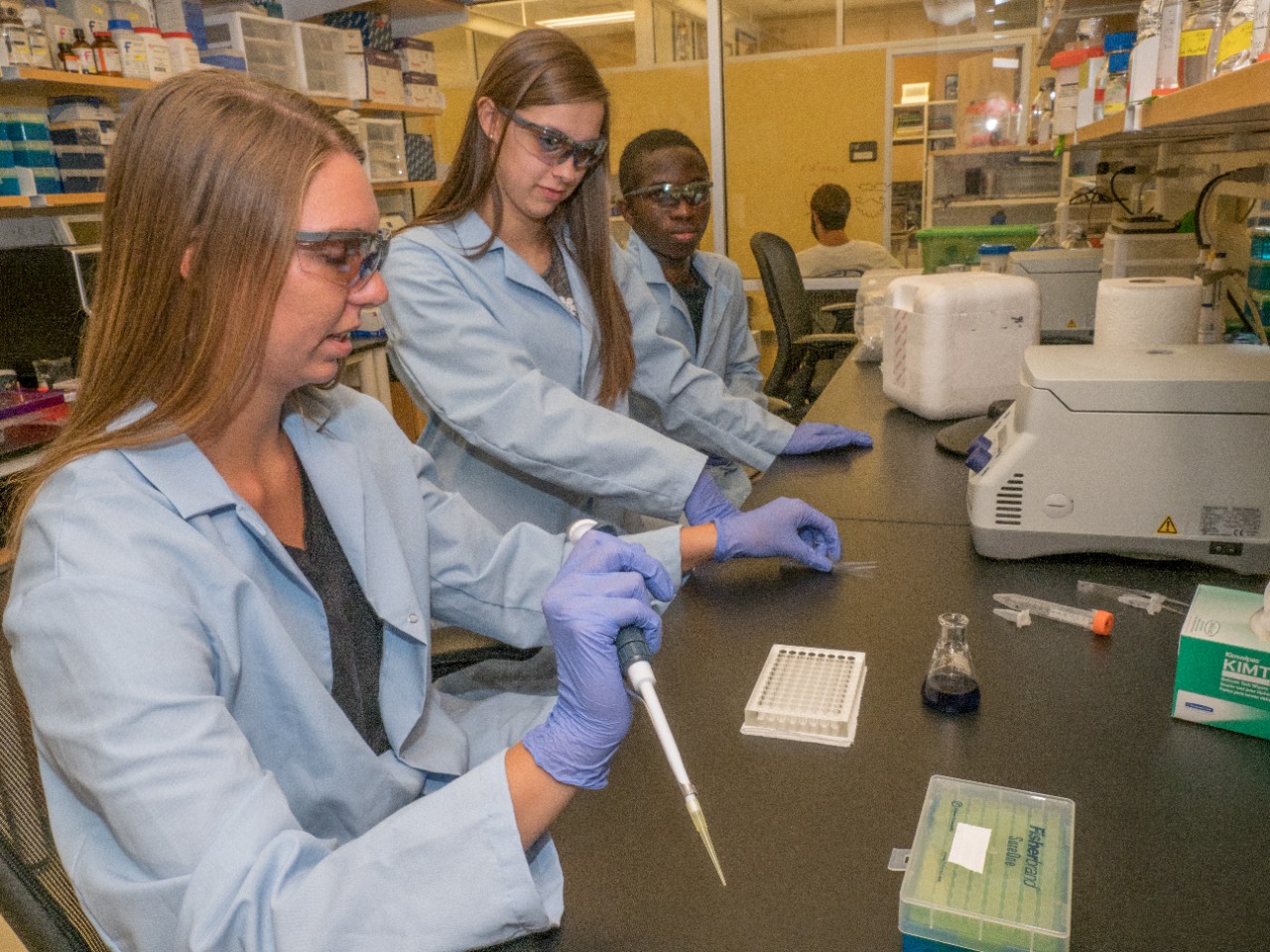 UC assistant biology professor Joshua Benoit is studying tick-borne illness at the UC Center for Field Studies in Crosby Township.  TICKSU ,Joshua Benoit ,  Benjamin Davis,  Madison Kimbrel, Alicia Fieler