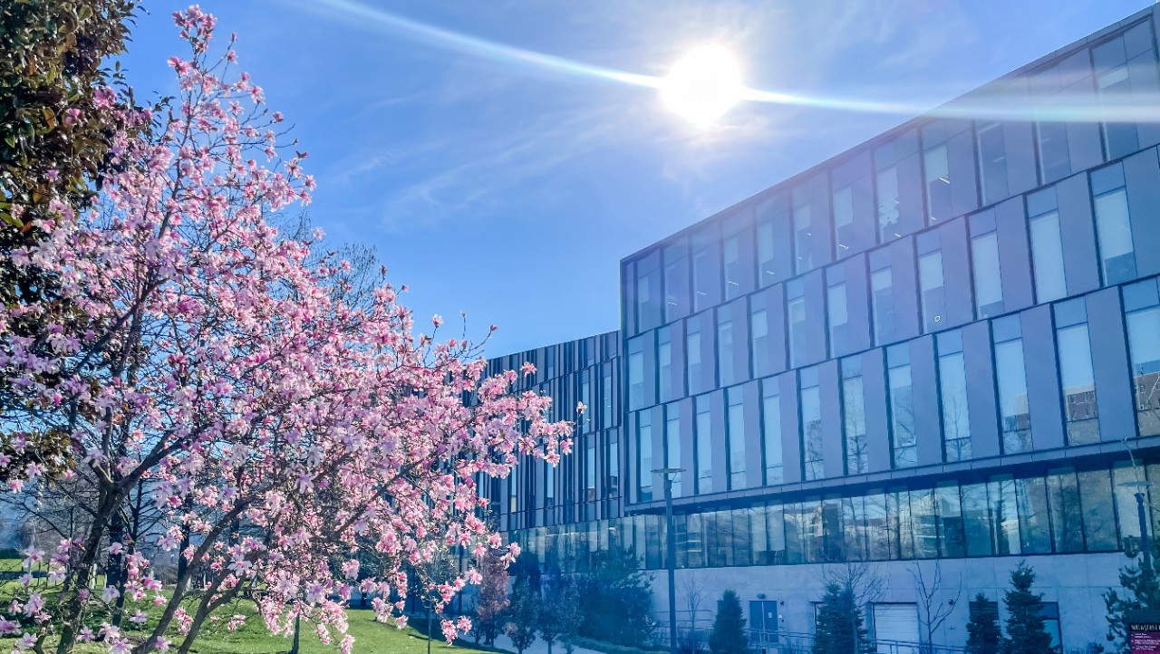 The exterior of Lindner Hall in the spring, with a tree in bloom.