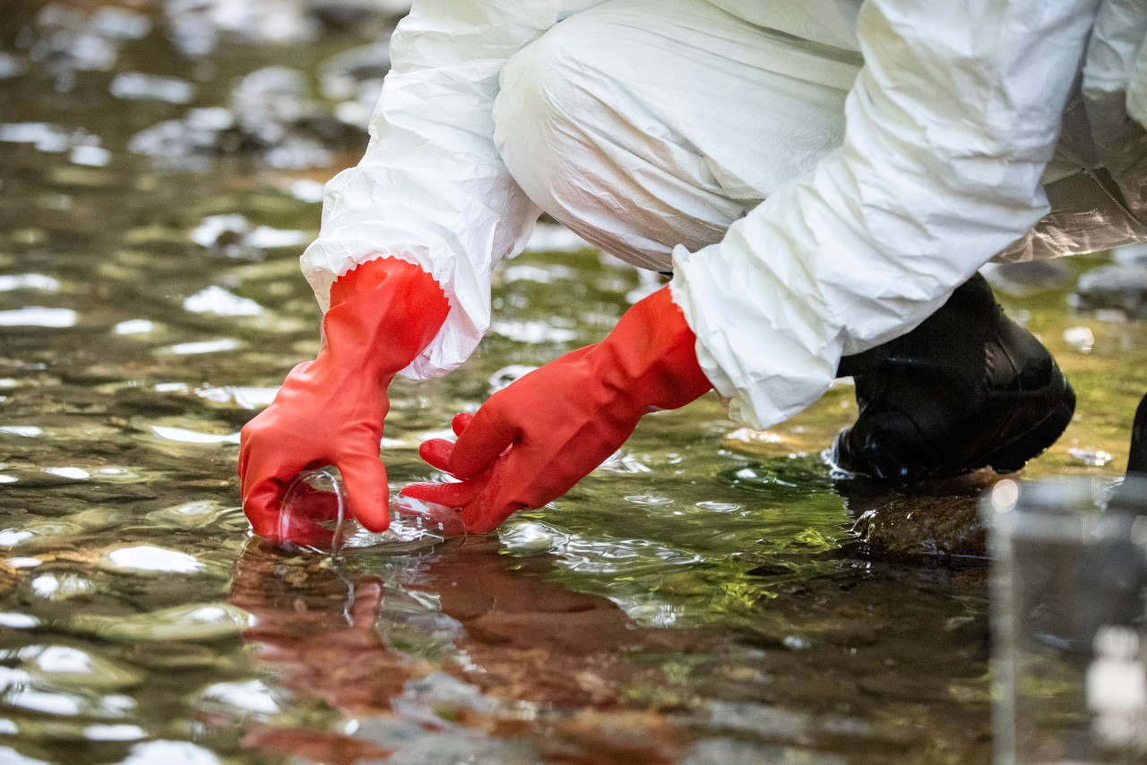 a photo of someone in a shallow stream collecting a water sample