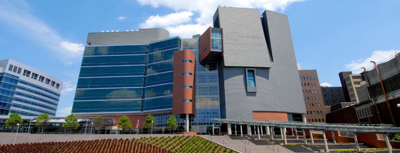 exterior of the CARE/Crawley building