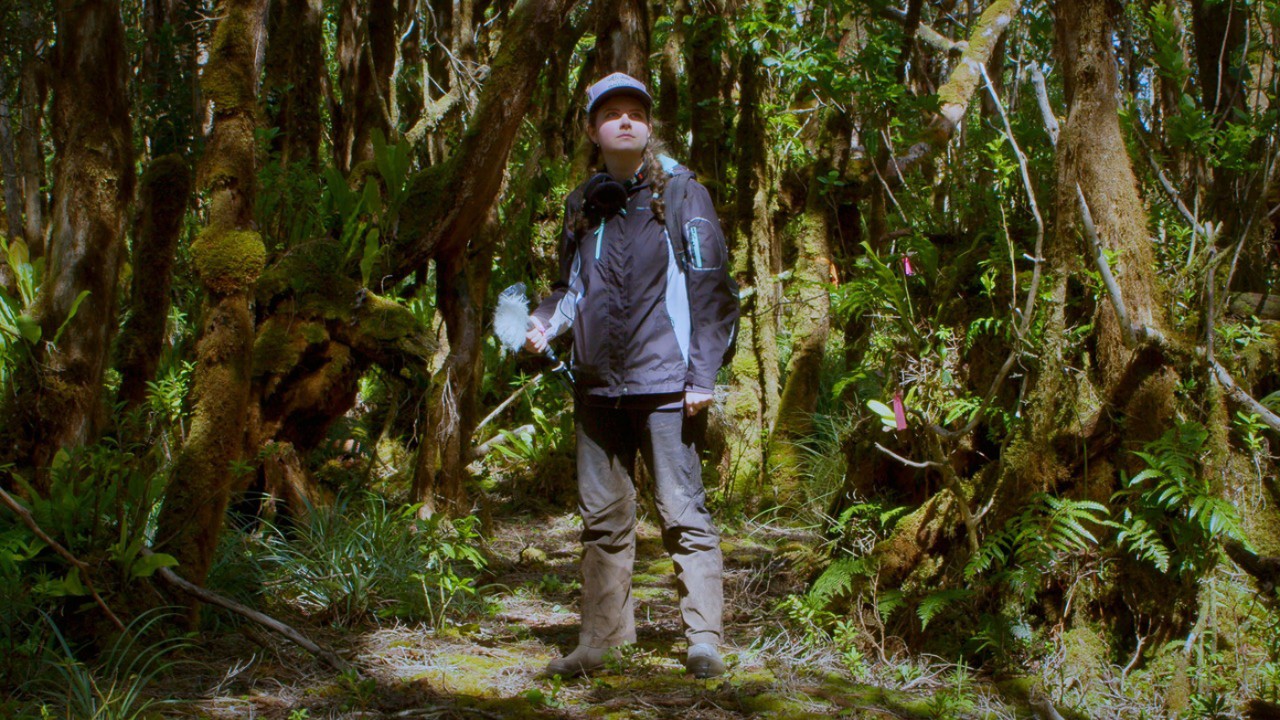 Ella Marcil in a rain jacket carries a camera through a rainforest.