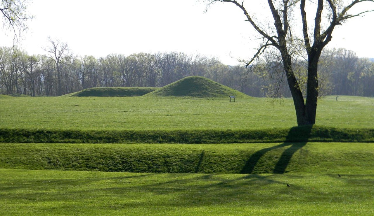 lush green grass with earthen mounds in the background 