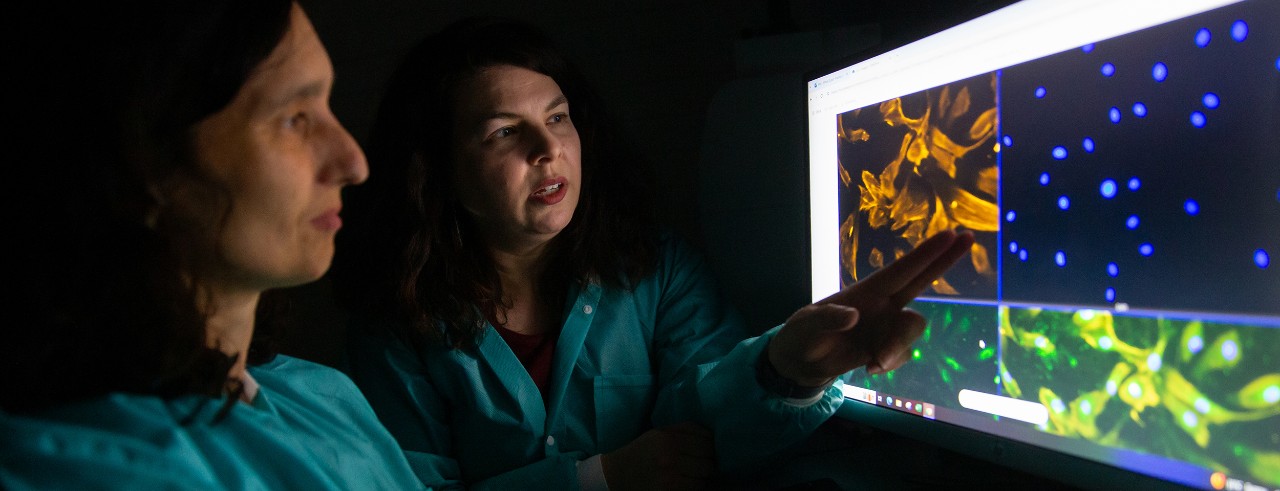 Two people in labcoats examine a computer screen showing different orientations of cells.