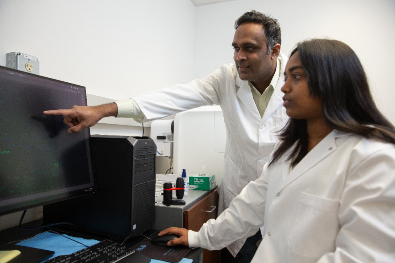 a researcher and a student look over data in a lab setting